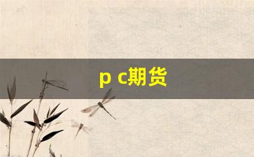 p c期货(pC期货价格实时行情)_https://www.nalian8.com_北交所_第1张